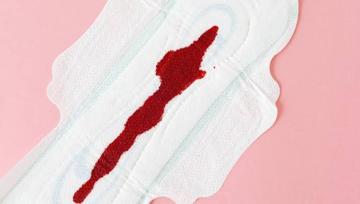 Menstrual Cycle: What’s Normal, What’s Not In 2023