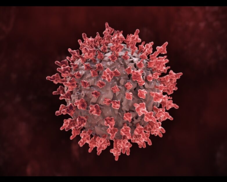 An image of the HIV virus 