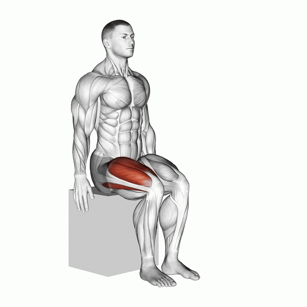 Safe exercises for overweight people. A gif of seated knee lifts