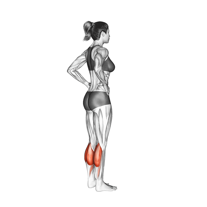 Calf raises are exercises which are safe for overweight people