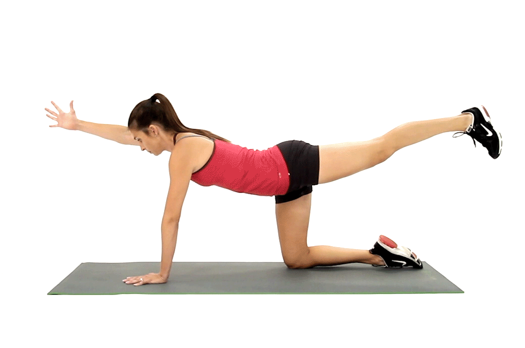 A gif of bird dog exercise, safe for overweight people.